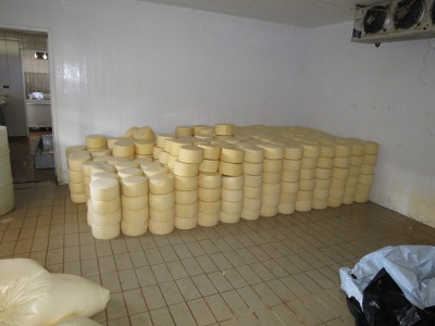 Apreensão queijo em Mantenopolis 03_red