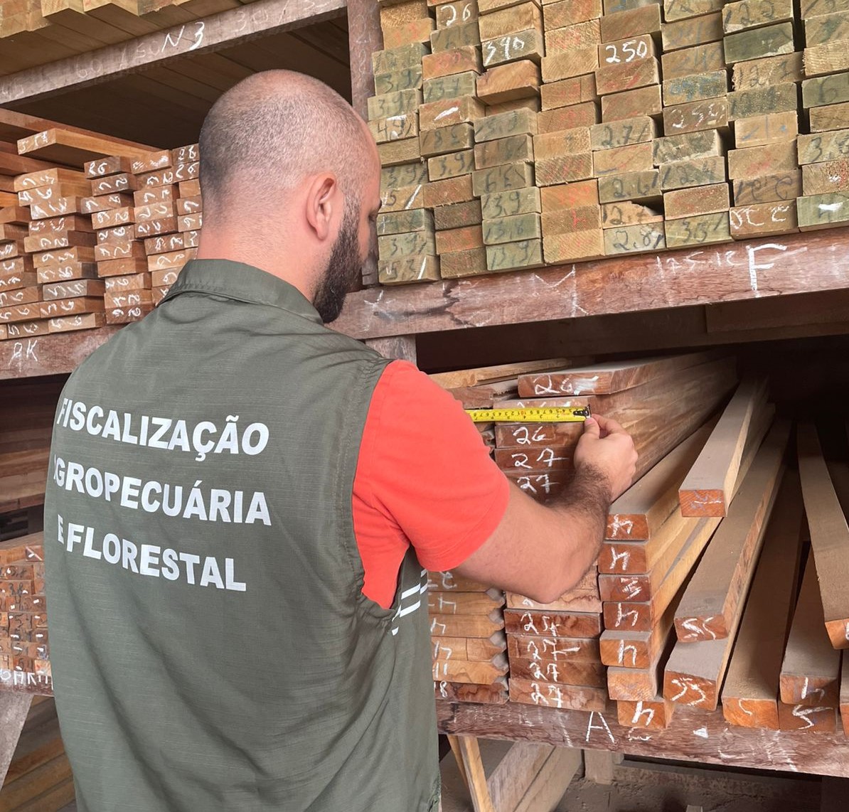 Fiscalizacao madeira Idaf ES