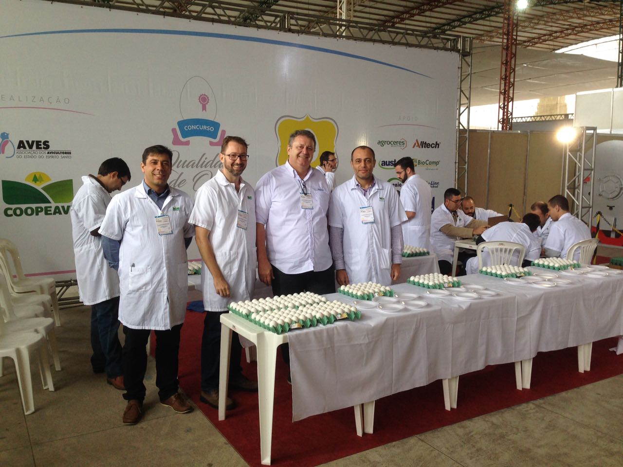 Concurso ovos (2)