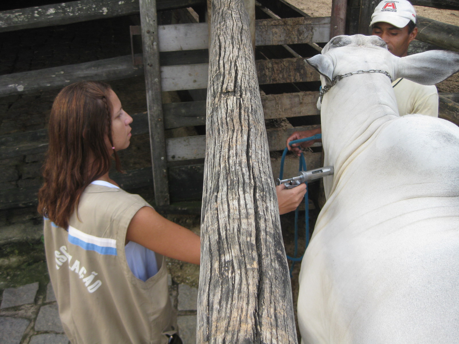 IMG_045