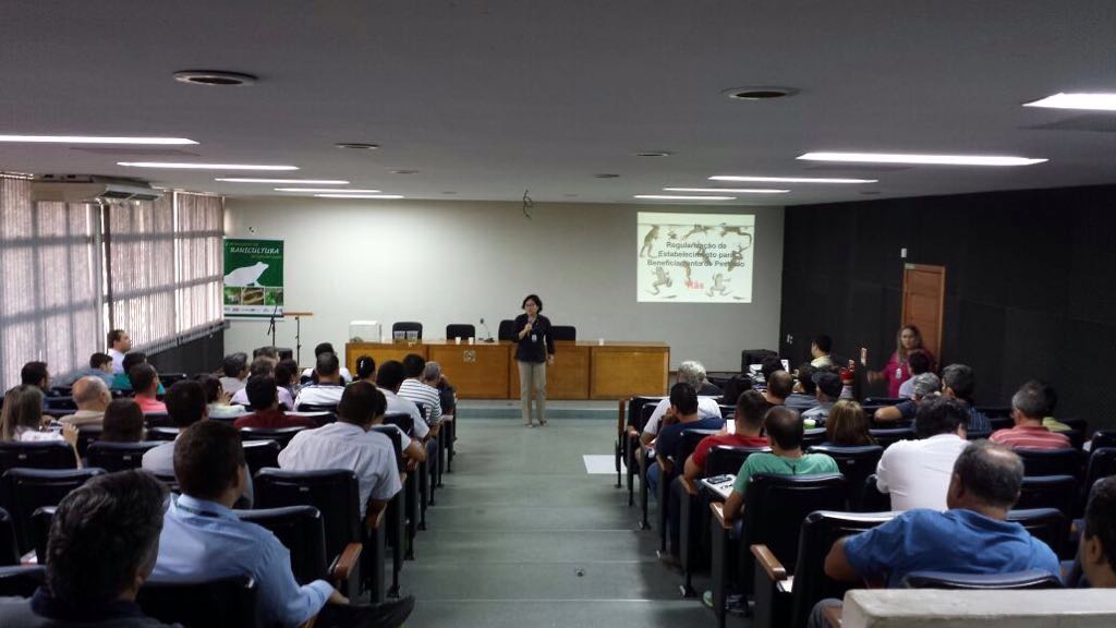 Ranicultura (5)
