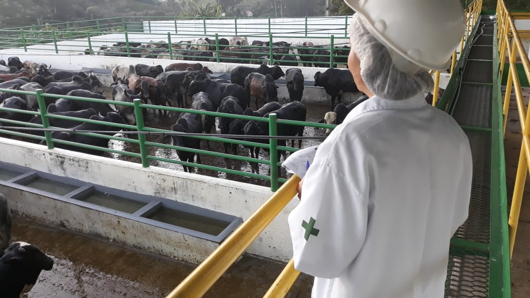 WhatsApp Image 2020-03-27 at 09.38.18