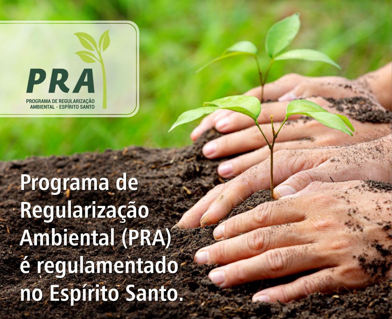 Card PRA_corte