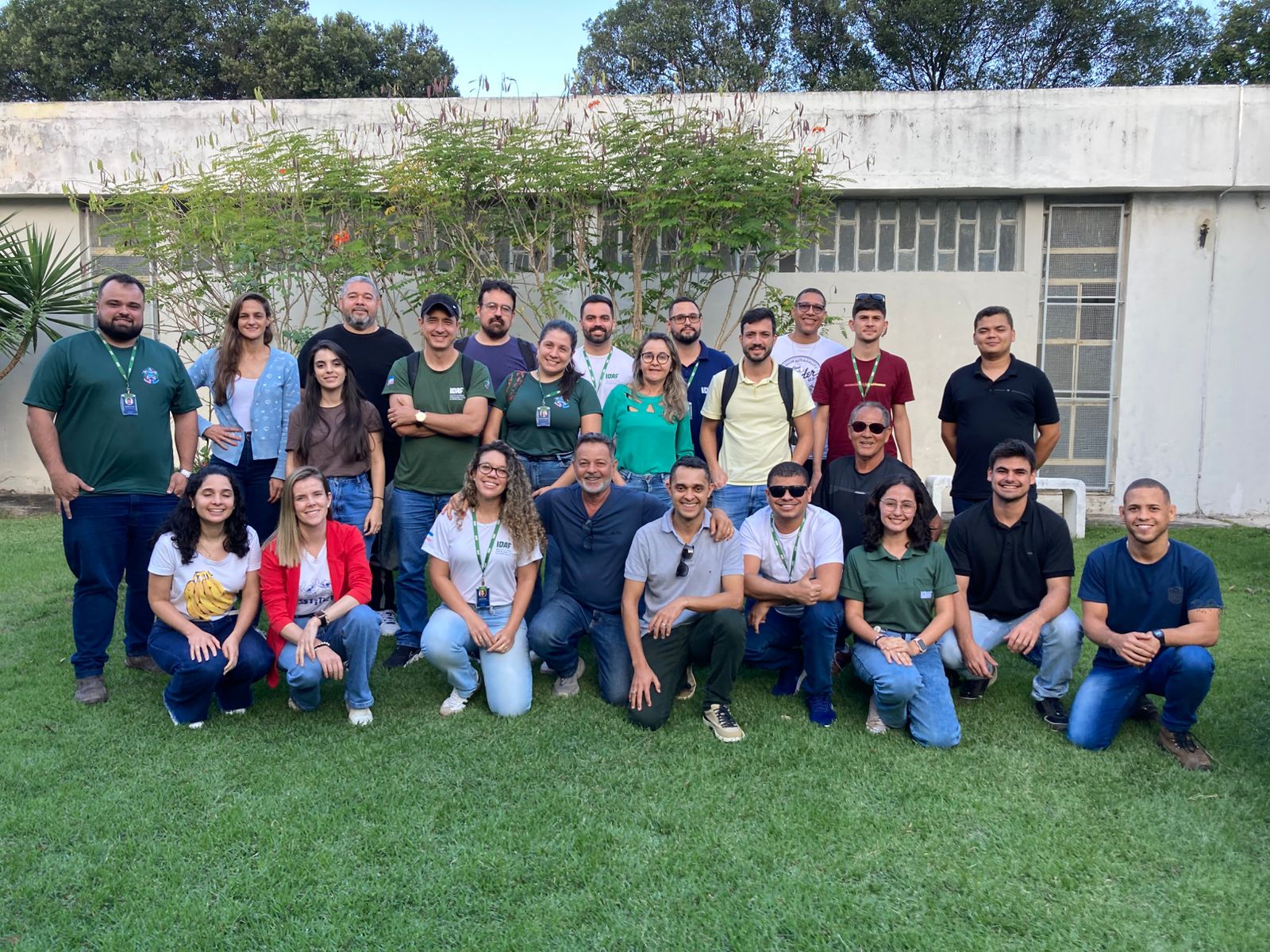 Curso de madeira e carvao (1)