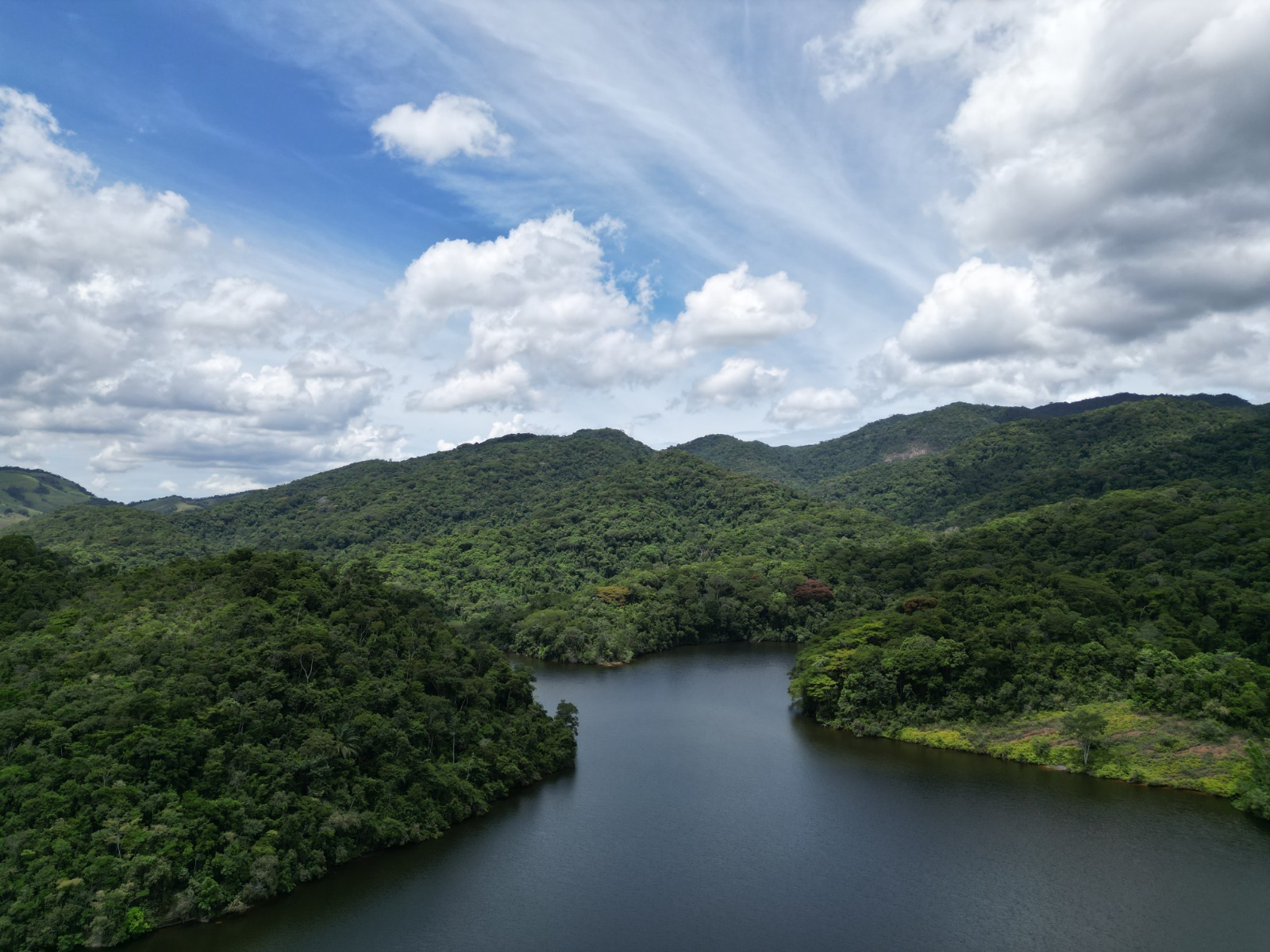 Florestal