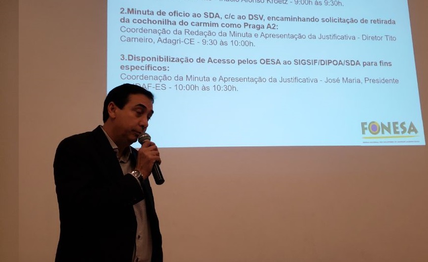 Apresentação Júnior - Fonesa