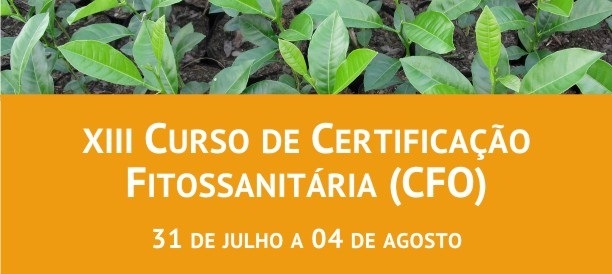 Curso CFO - banner