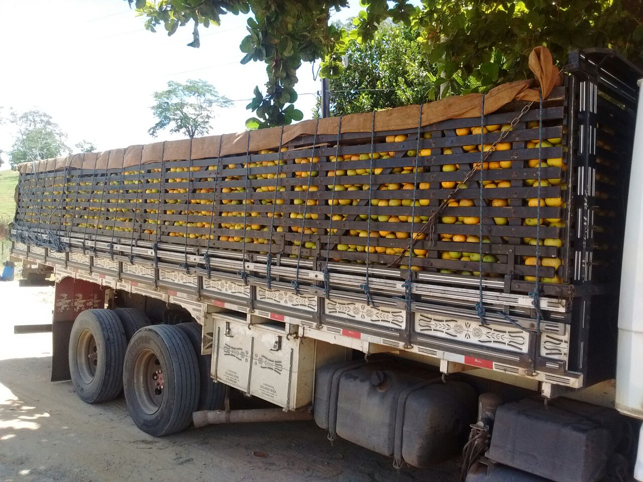 Laranjas