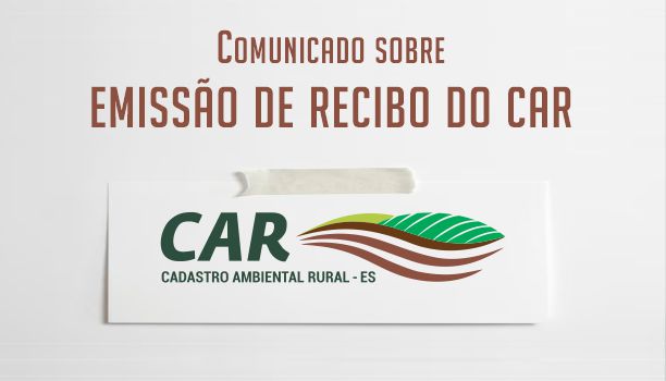 Car 2025