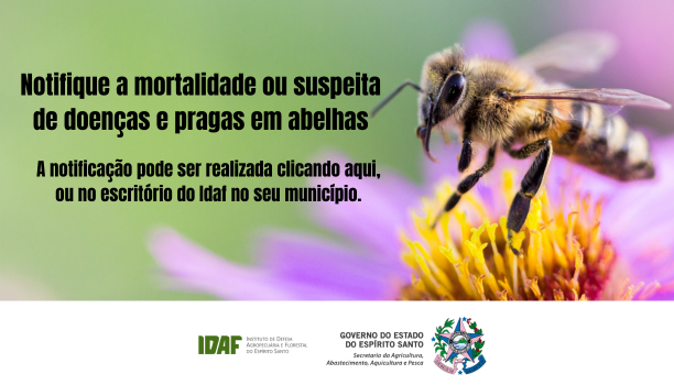 Inscrição para o curso de habilitação de responsáveis técnicos para emissão de CFO -  CFOC e inclusão de pragas (7)